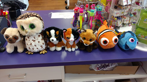 Toy Store «Learning Express», reviews and photos, 49 Waukegan Rd, Glenview, IL 60025, USA