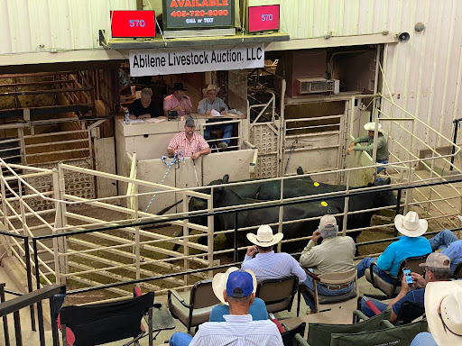 Abilene Livestock Auction LLC