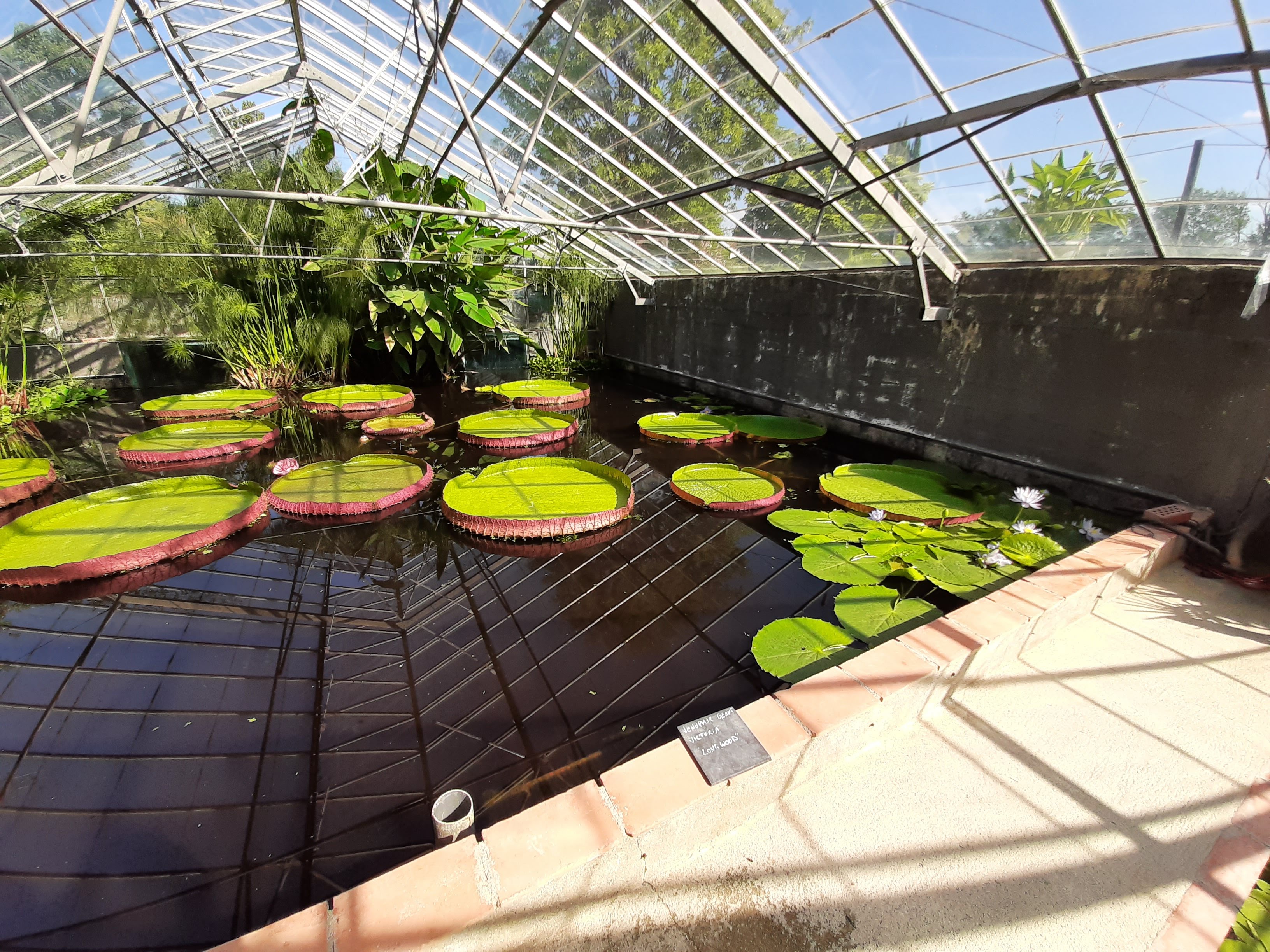 Photo n° 1 de l'avis de Stephane.e fait le 20/08/2021 à 11:09