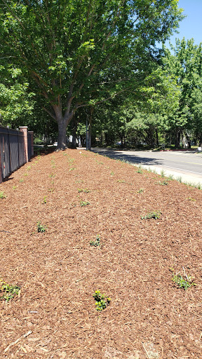 Tennis Club «Natomas Racquet Club», reviews and photos, 2450 Natomas Park Dr, Sacramento, CA 95833, USA