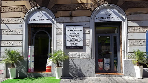 Animal Breeding - Shop & Toelettatura