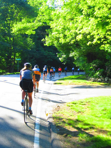 Bicycle Store «Ferris Wheels Bike Shop», reviews and photos, 66 South St, Jamaica Plain, MA 02130, USA