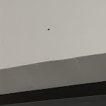 Photo n°11 de l'avis de Sofia.r fait le 26/07/2023 à 09:54 sur le  Hotel Sporting Club à Altavilla Milicia