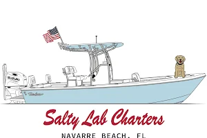Salty Lab Charters image