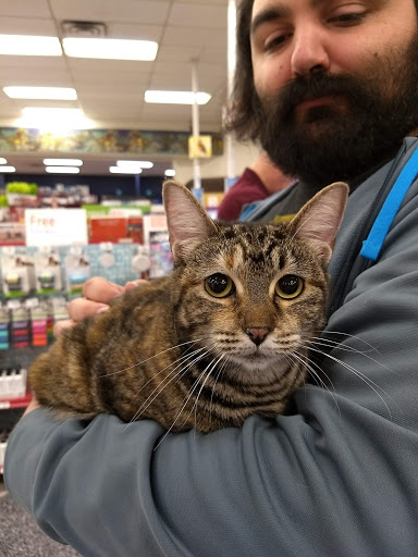 Pet Supply Store «Petco Animal Supplies», reviews and photos, 1401 E Spring Valley Rd, Richardson, TX 75081, USA