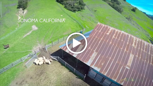 Futon Store «The Futon Shop», reviews and photos, 548 Contra Costa Blvd, Pleasant Hill, CA 94523, USA