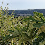 Photo du Service de taxi Castillon 30 à Castillon-du-Gard