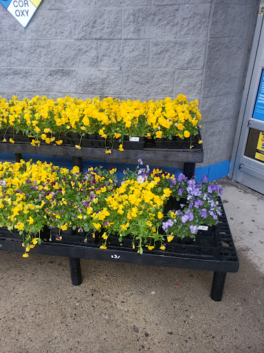 Discount Store «Walmart», reviews and photos, 780 Lynnway, Lynn, MA 01905, USA