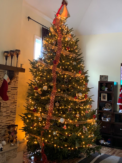 Kiser's Christmas Trees