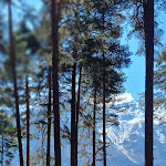 Photo n°1 de l'avis de Max.a fait le 09/04/2023 à 17:49 sur le  La Locanda della Pineta à Trasquera