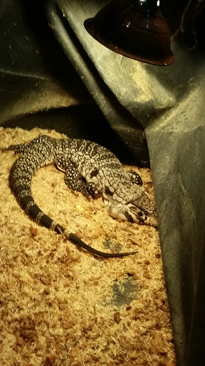 Pet Store «Pets World», reviews and photos, 147 Bridge St, Weymouth, MA 02191, USA