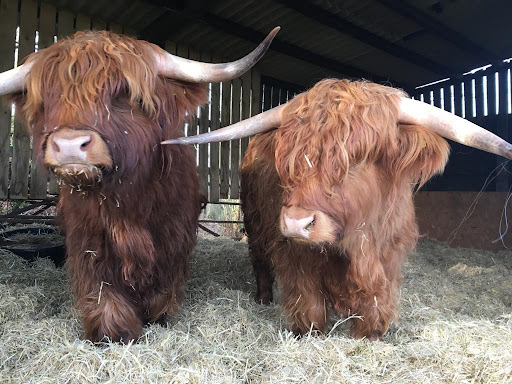 East Lodge Open Farm