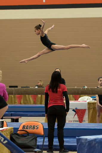 Gymnastics Center «C.I.T.Y. Club Gymnastics Academy», reviews and photos, 1723 S Michigan Ave, Chicago, IL 60616, USA