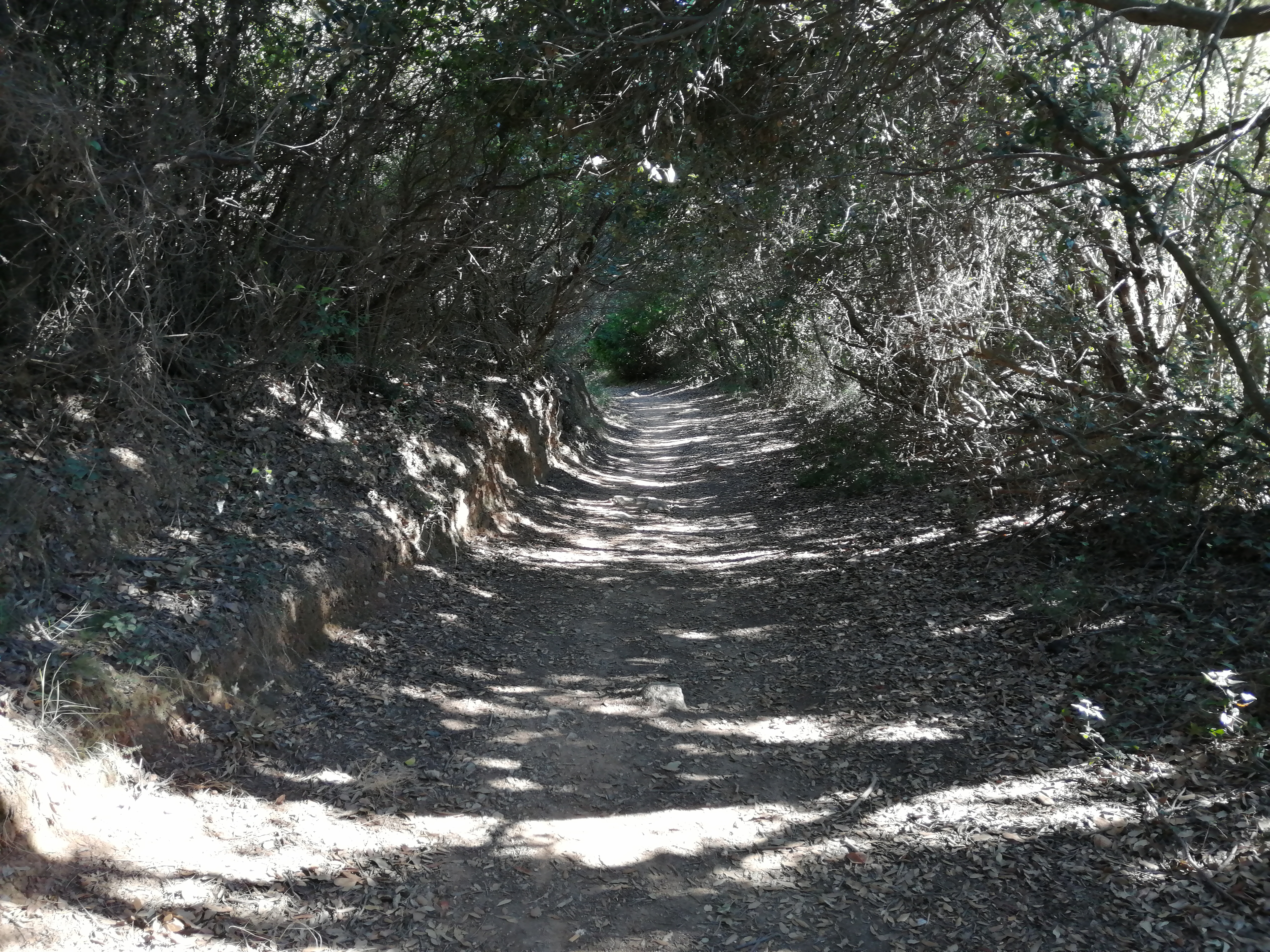 Photo n° 1 de l'avis de Agora.x fait le 11/08/2019 à 20:28