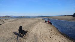 Foto von Carradale Bay Beach - beliebter Ort unter Entspannungskennern