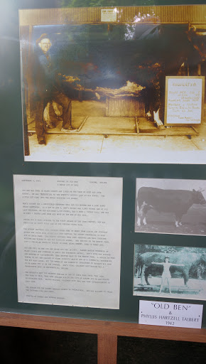 Tourist Attraction «Sycamore Stump», reviews and photos, 1402 Defenbaugh St, Kokomo, IN 46902, USA