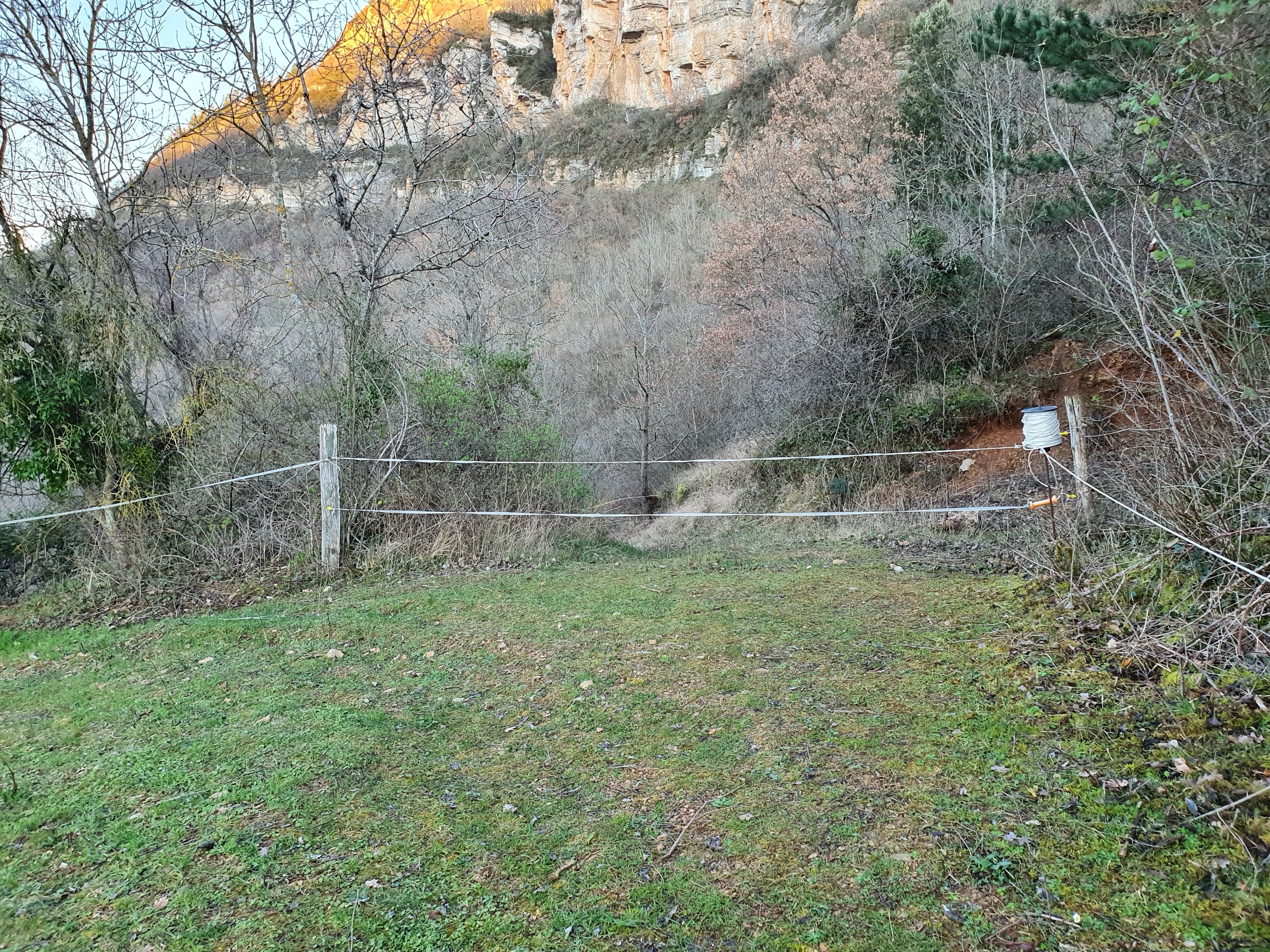 Photo n° 1 de l'avis de Molé.a fait le 05/03/2020 à 18:17
