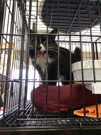 Pet Store «Pet Valu», reviews and photos, 1016 Beards Hill Rd, Aberdeen, MD 21001, USA