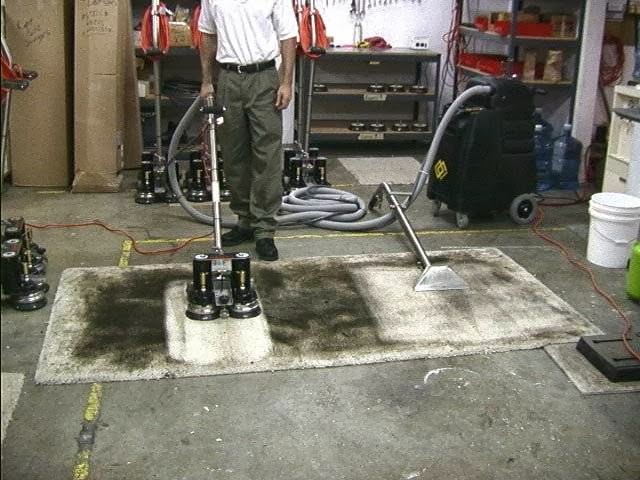Reviews of The Carpet Cleaner in Porirua - Laundry service