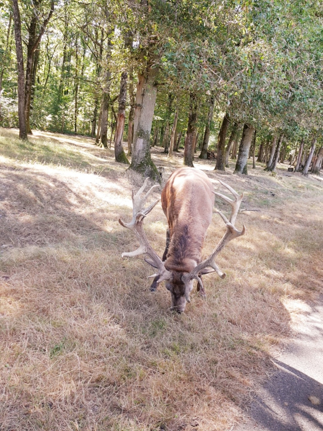 Photo n° 1 de l'avis de Octhane.a fait le 17/08/2018 à 19:35
