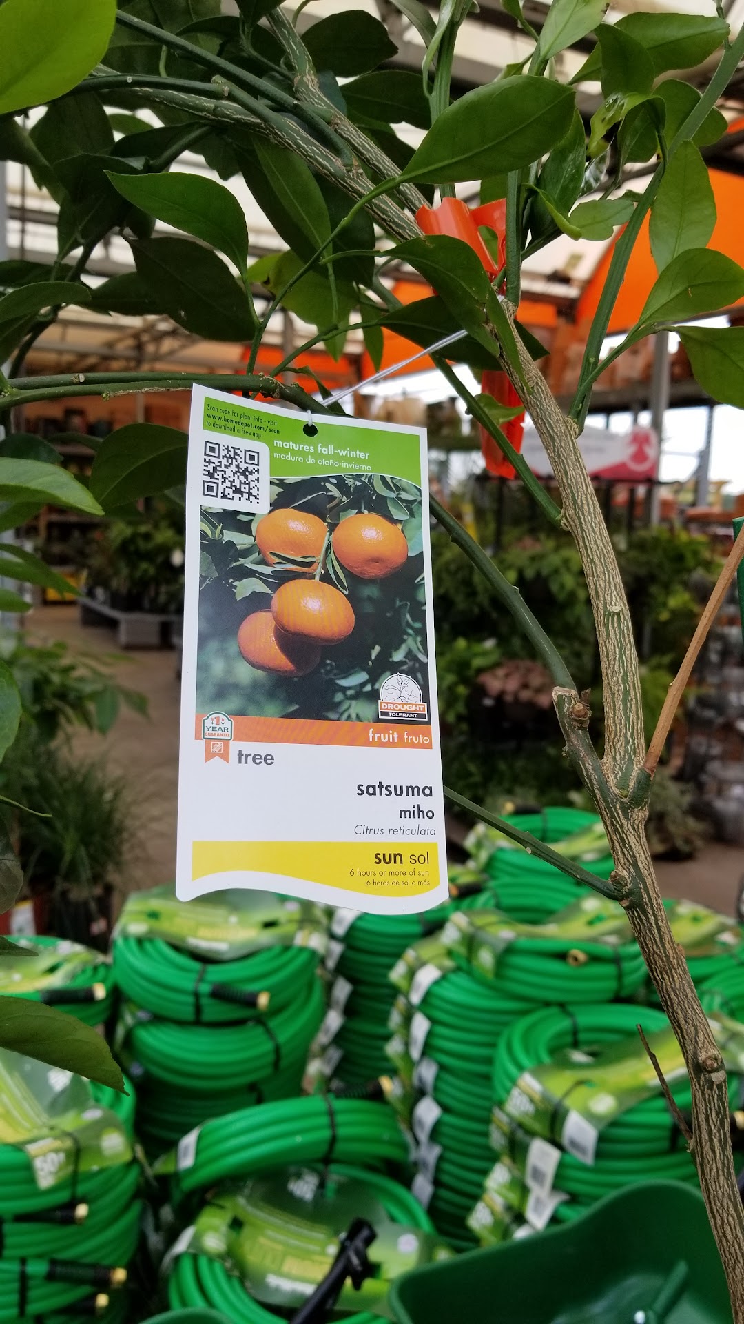 Garden Center at The Home Depot