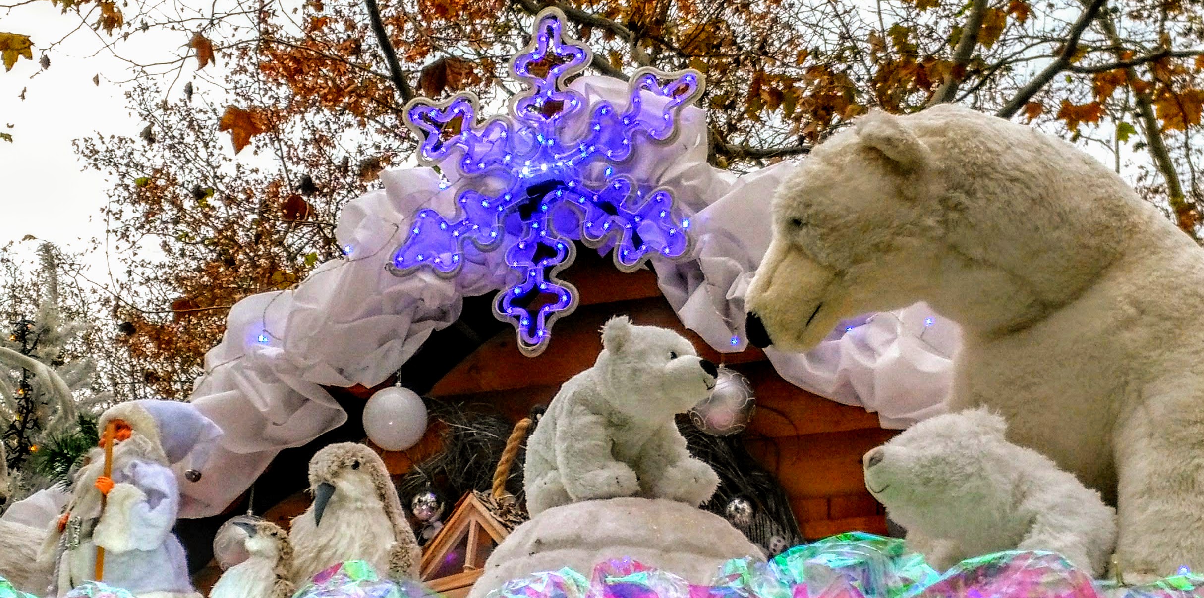 Photo n° 31 de l'avis de Patrick.a fait le 22/12/2018 à 22:49