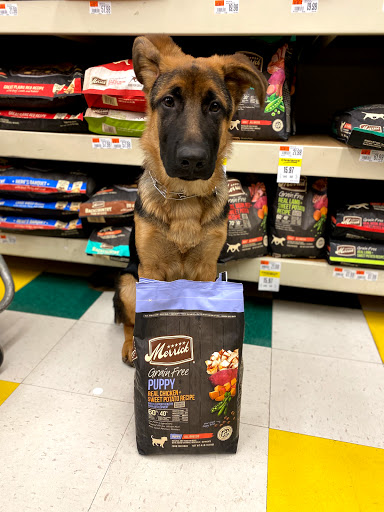 Pet Supply Store «Pet Supplies Plus», reviews and photos, 227 W Merrick Rd, Valley Stream, NY 11580, USA