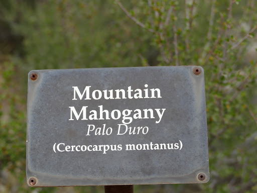 National Park «Guadalupe Mountains National Park», reviews and photos