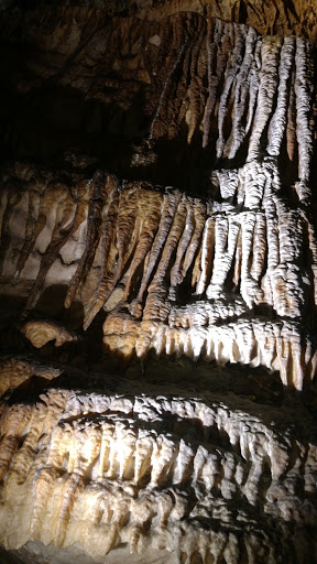 Park «Abernathy Greenway», reviews and photos, 70 Abernathy Rd NE, Sandy Springs, GA 30328, USA