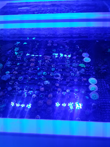 Tropical Fish Store «Hydra Aquatics International, Inc.», reviews and photos, 1300 Stirling Rd #7a, Dania Beach, FL 33004, USA