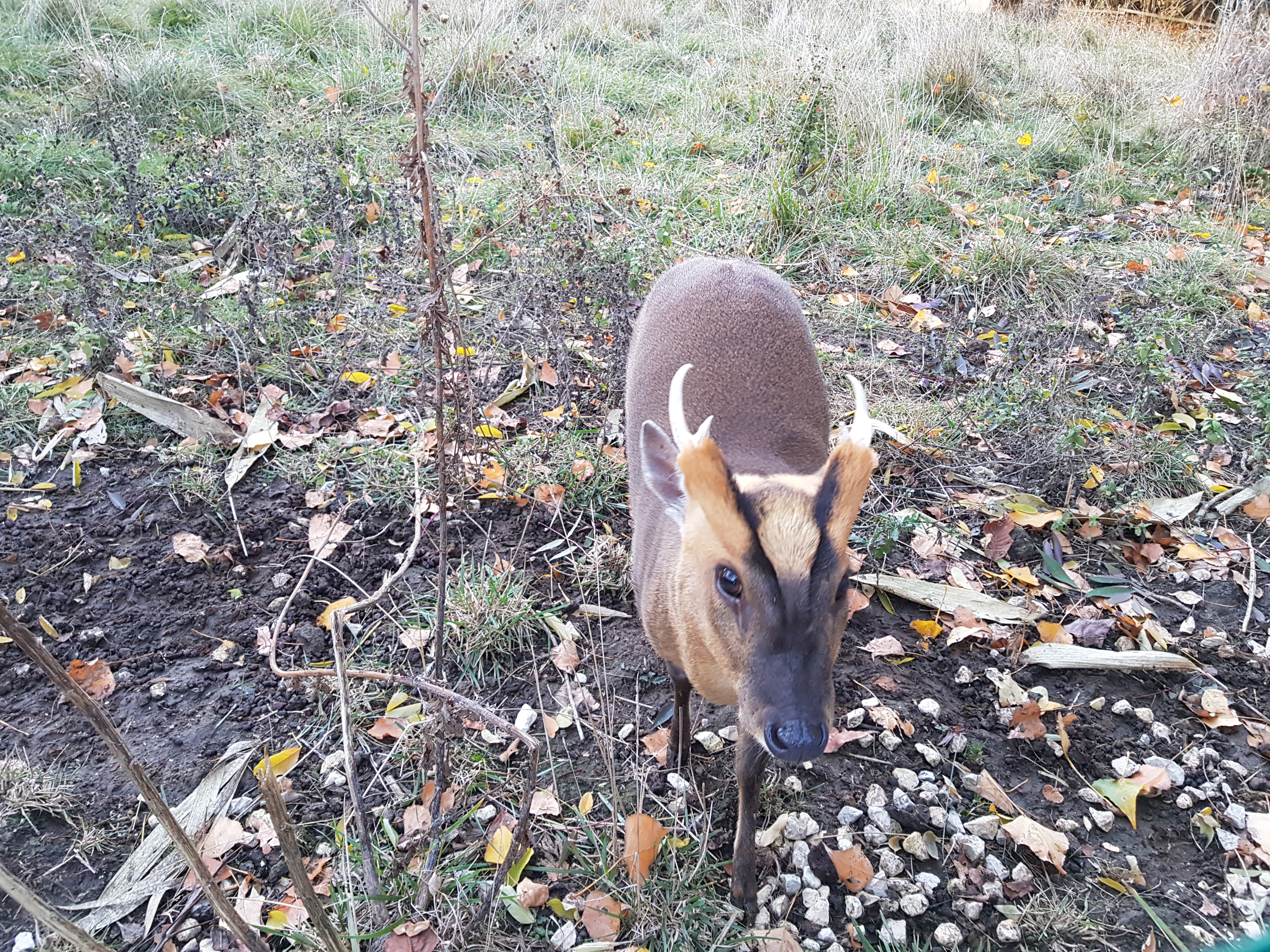 Photo n° 1 de l'avis de Gaël.c fait le 10/12/2018 à 16:58