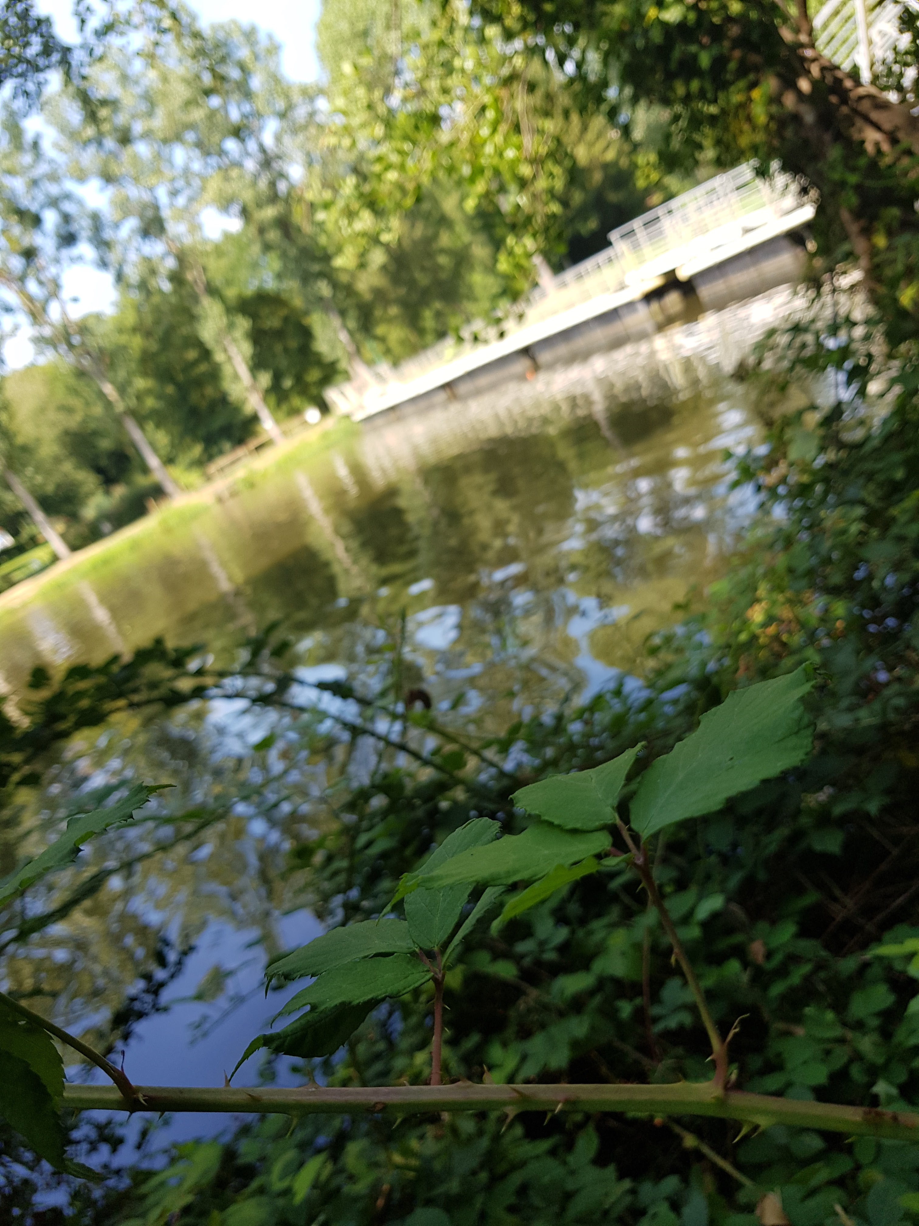Photo n° 2 de l'avis de elvina.e fait le 18/07/2018 à 09:53
