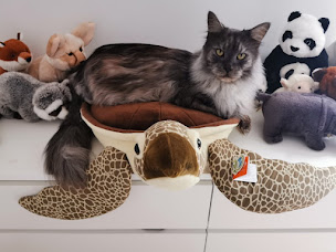 Photo n°5 de Au Paradis des Animaux à Forest-sur-Marque ()