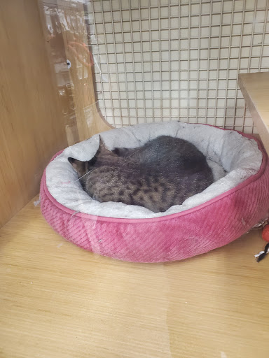 Pet Supply Store «Petco Animal Supplies», reviews and photos, 95 U.S. 9, Englishtown, NJ 07726, USA