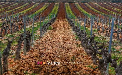 Vinea provence transaction à Lorgues