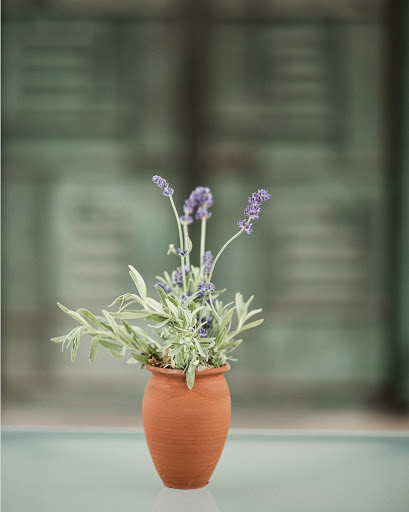 Florist «Parsonage Events», reviews and photos, 6 E Church St, Village of Clarkston, MI 48346, USA