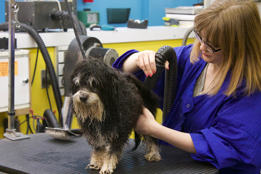 Pet Supply Store «Ridge Dog Shop», reviews and photos, 1505 N Parham Rd, Richmond, VA 23229, USA