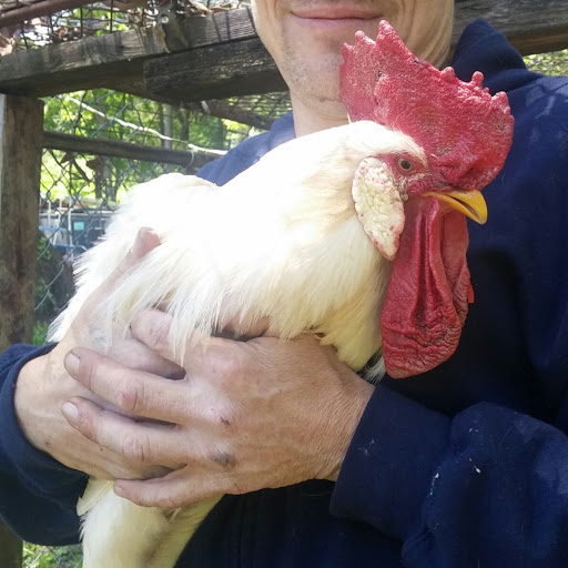 Country Club «Farmington Country Club», reviews and photos, 1625 Country Club Cir, Charlottesville, VA 22901, USA