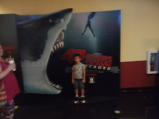 Movie Theater «AMC Sarasota 12», reviews and photos, 8201 S Tamiami Trail, Sarasota, FL 34238, USA