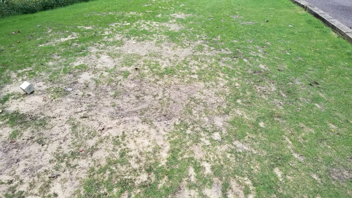 Public Golf Course «Hinckley Hills Golf Course», reviews and photos, 300 State Rd, Hinckley, OH 44233, USA