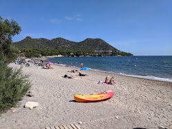 Platja de Sa Marjal'in fotoğrafı imkanlar alanı
