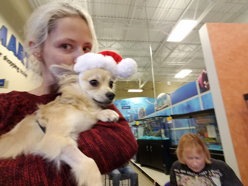 Pet Supply Store «PetSmart», reviews and photos, 1157 E North Ave, Belton, MO 64012, USA