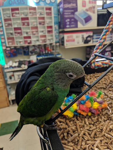 Pet Supply Store «Pet Supplies Plus», reviews and photos, 411 Commack Rd, Deer Park, NY 11729, USA