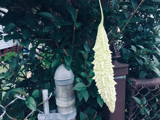 Park «Kittrel Park», reviews and photos, 120 Fisher Ave, White Plains, NY 10606, USA