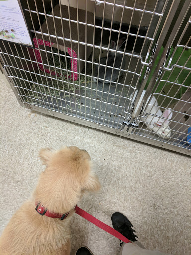 Pet Supply Store «PetSmart», reviews and photos, 971 Norland Ave, Chambersburg, PA 17201, USA