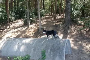 The Preserve Dog Park image