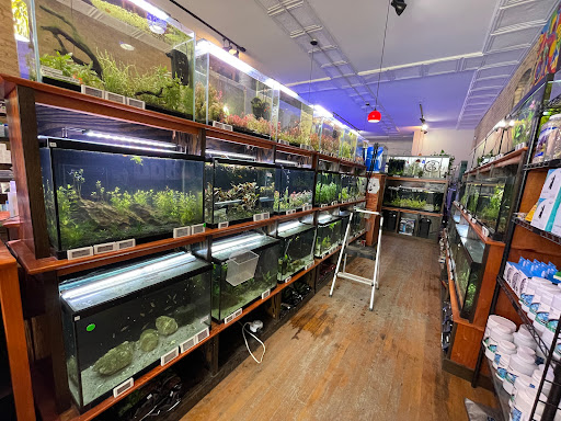 Watercolors Aquarium Gallery