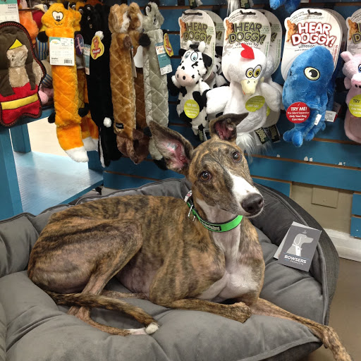 Pet Supply Store «Unleashed», reviews and photos, 1319 Military Cutoff Rd, Wilmington, NC 28405, USA