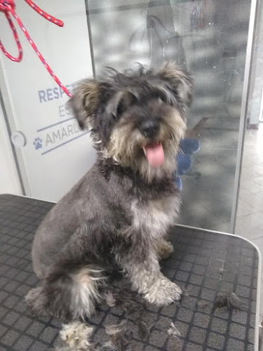 Pet Club veterinaria Comas