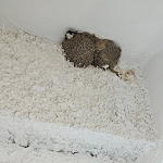 Photo n°14 de l'avis de Giovanni.o fait le 28/06/2023 à 22:08 sur le  Hotel Costa Elisabeth à Cirò